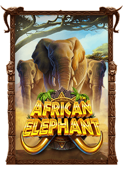 รีวิวเว็บ แท้ สล็อต ที่ไม่ควรพลาด